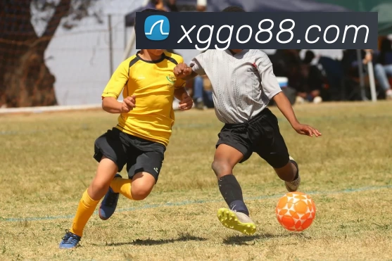 新贵游戏官网平台生态图